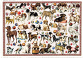 PK 553 Tausendschön Postcard | Doggies