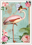 PK 702 Tausendschön Postcard | Flamingo