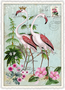 PK 659 Tausendschön Postcard | Flamingos