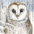 Carola Pabst Postcard Christmas | Wintery Owl_