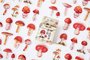 Sticker Flakes Box | Mushroom_