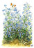 Inge Look Nr. 107 Postkarte Garden | Flowers and butterfly_