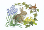 Postcard Molly Brett | Rabbit and wren with bluebells and primroses_