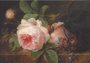 Museum Cards Postcard | Rose, Cornelis van Spaendonck_