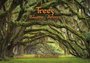 Tushita Postcard Book | Trees_