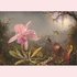 Postcard - Cattleya orchid and three hummingbirds_