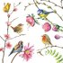 Nina Chen Postcard | Flowers and birds_