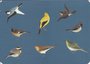Postcard | Vogels, Philipp Franz von Siebold, Naturalis Biodiversity Center_