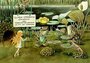 Elsa Beskow Postcard | Solägget (frogs)_