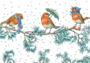 Postcard Molly Brett | Three Robins On A Branch At Christmas _
