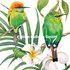 Carola Pabst Postcard | Two Birds_