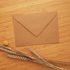 Hedgehog Knitting - Postcard with envelope by Esther Bennink_