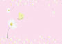 Envelope Set C6 - Pink Daisies_