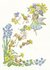 Postcard Molly Brett | Faeries With Bluebells, Primroses And Daisies_