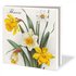 Card folder with envelopes - square: Flowers, Museum de Zwarte Tulp_
