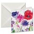 Card folder with envelopes - square: Flowers, Courtesy of Advocate-Art_