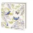 Kaartenmapje met enveloppen vierkant: Vogels en vlinders, Janneke Brinkman-Salentijn_