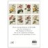 Redoute's Roses Postcard Set_