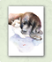Organic Postcard - Watercolour Cat and Dog_