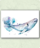 Organic Postcard - Watercolour Whale_