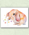 Organic Postcard - Watercolour Bunny_