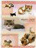 San-X Happy Cute Cat A4 Plastic File Folder_