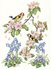 Postcard Molly Brett | Goldfinches, Blossom, Bluebells And Violets_