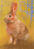 Postcard Loes Botman | Rabbit_