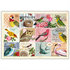 PK 977 Tausendschön Postcard | Bird Stamps_