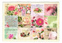 PK 978 Tausendschön Postcard | Roses Stamps_