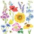 Carola Pabst Postcard | Summer flowers with sunflower_