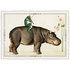 PK 995 Tausendschön Postcard | Hippo and Frog_