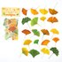 Sticker Flakes Sack | Leaves of Nature -  Ginkgo Leaves_