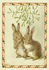 Postcard Margareth W. Tarrant |  Shall Us? Let’s!- Two Rabbits Under The Mistletoe _