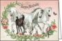 Barbara Behr - Auguri - Folded Card | Happy Birthday (Horses)_