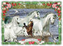PK 8024 Barbara Behr Glitter Postcard | France - La Camargue 2_