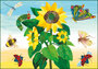Gallery Cards Postcard | Nature, The very hungry caterpillar, Eric Carle_