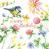 Nina Chen Postcard | Happy Birthday (Blue Tit and Blossoms)_