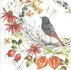 Kerstin Heß Postcard | Bird with autumn flowers_