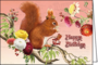 Barbara Behr - Auguri - Folded Card | Happy birthday (Squirrel)_