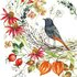 Kerstin Heß Postcard | Bird with autumn flowers_