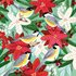 Caroline Bonne-Müller Postcard Christmas | birds and poinsettias_