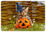 Postcard | Halloween Cat_