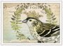 PK 1085 Tausendschön Postcard | Bird with Crown_