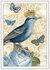 PK 1090 Tausendschön Postcard | Blue Bird_
