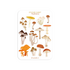A6 Stickersheet by Muchable | Mushrooms_