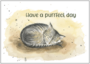 Postcard | Have a purrfect day_