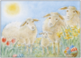 Postcard | Easter happiness (sheep with Easter eggs)_