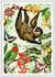 PK 1121 Tausendschön Postcard | Wildlife-Edition, Faultier - Sloth _