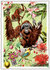 PK 1122 Tausendschön Postcard | Wildlife-Edition, Orang-Utan - Orangutan_